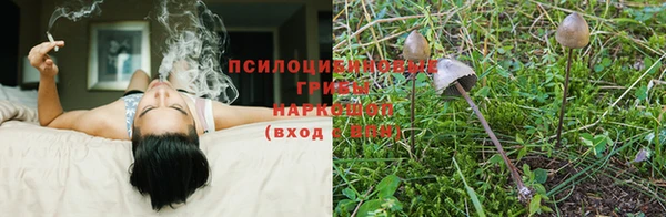 apvp Балабаново