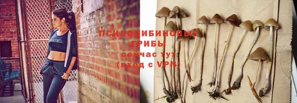 apvp Балабаново